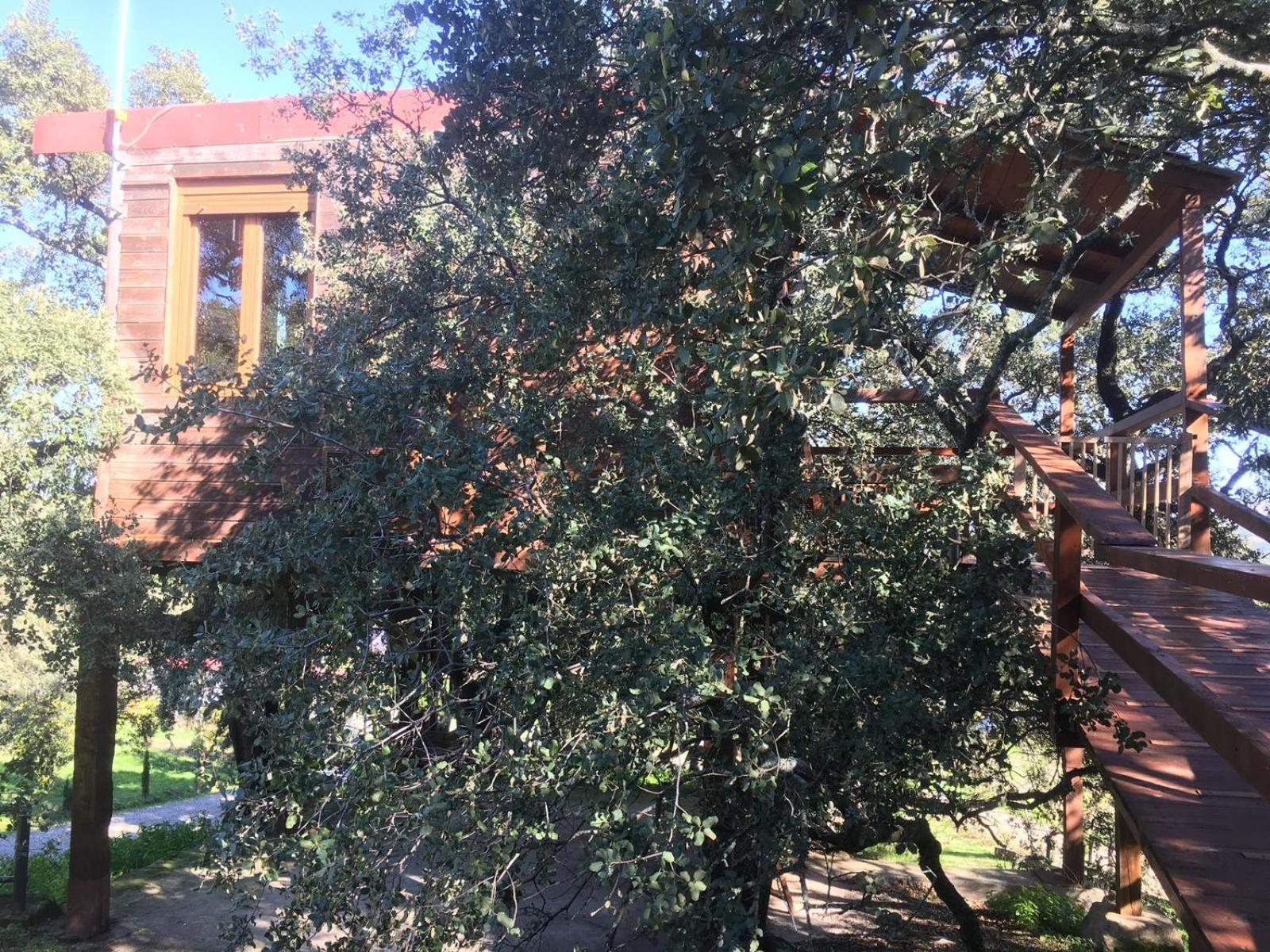 Cabana El Valle Pedroso de Acim المظهر الخارجي الصورة